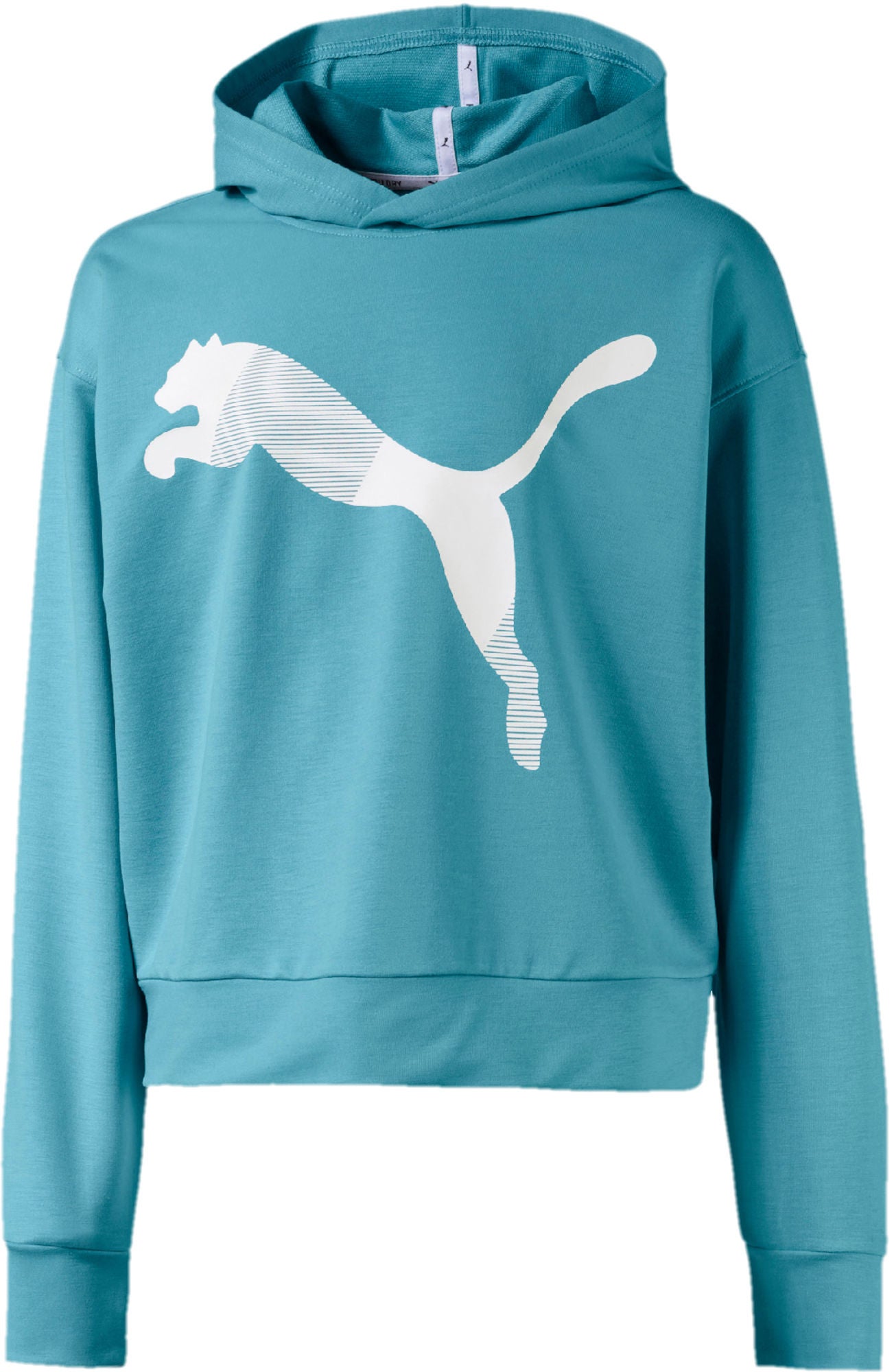 Puma Modern Sports Kapuzenpullover, Blue 104