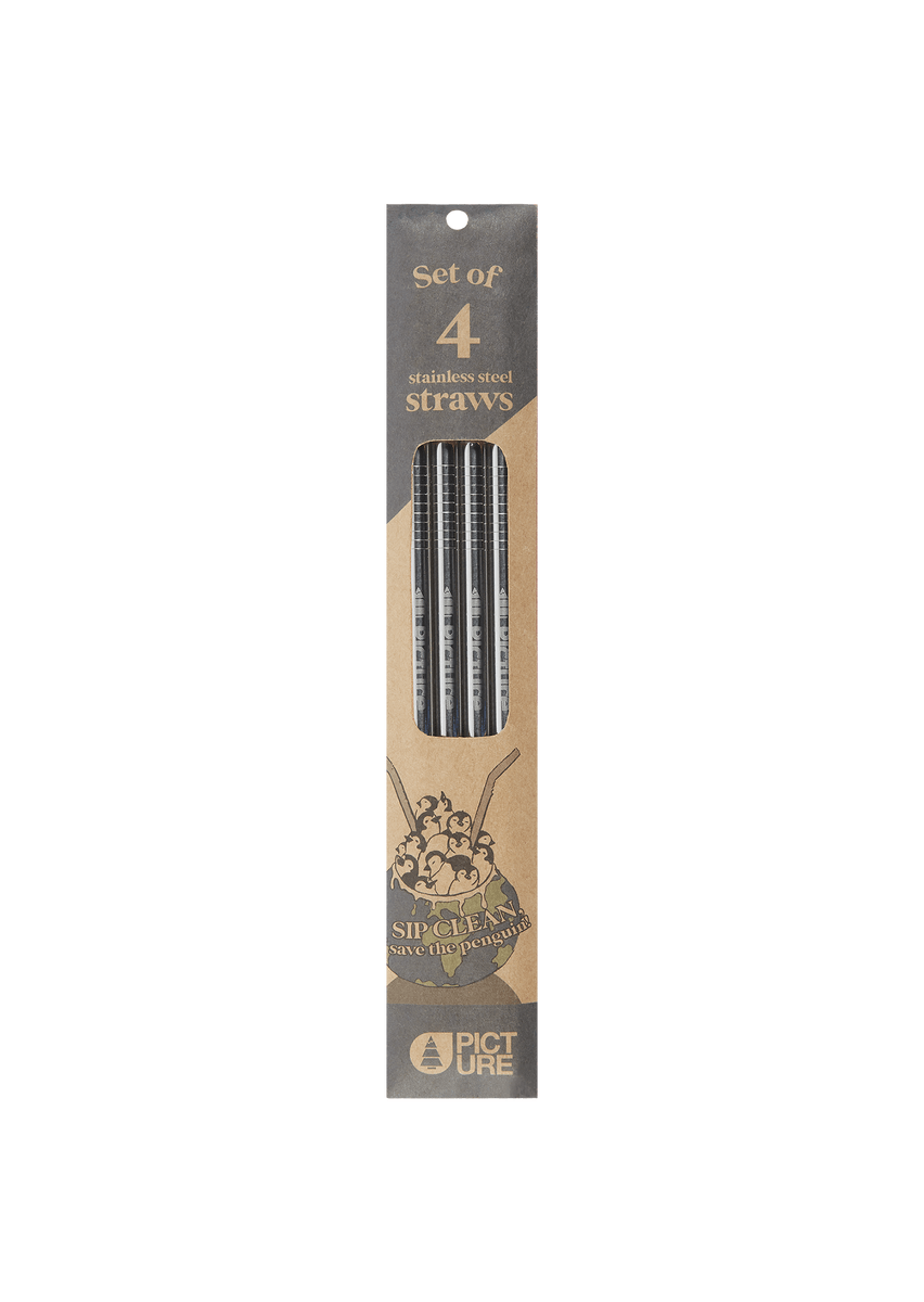 Picture Organic Straw Set of 4 - Made From Stainless Steel